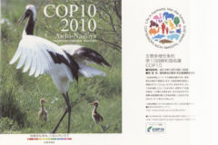 世界多様性条約 COP10 2010