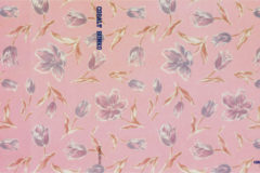 集英社コバルト文庫